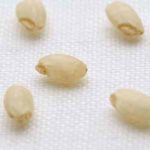 germinated-brown-rice-発芽玄米-300x300