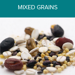 16 mixed grains
