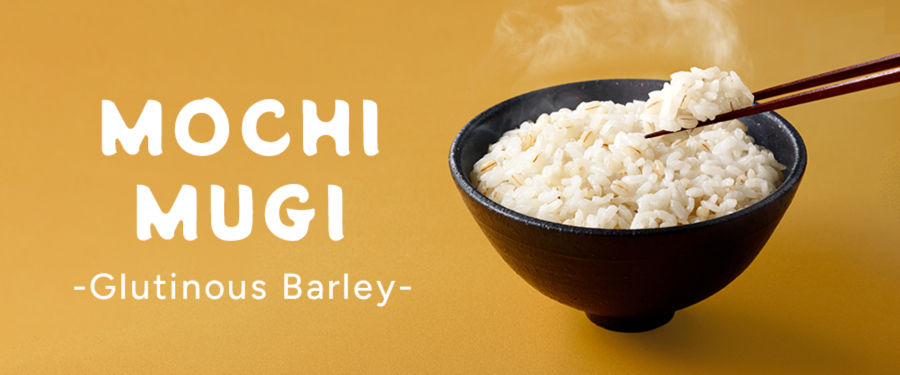 MOCHI MUGI (Glutinous Barley)