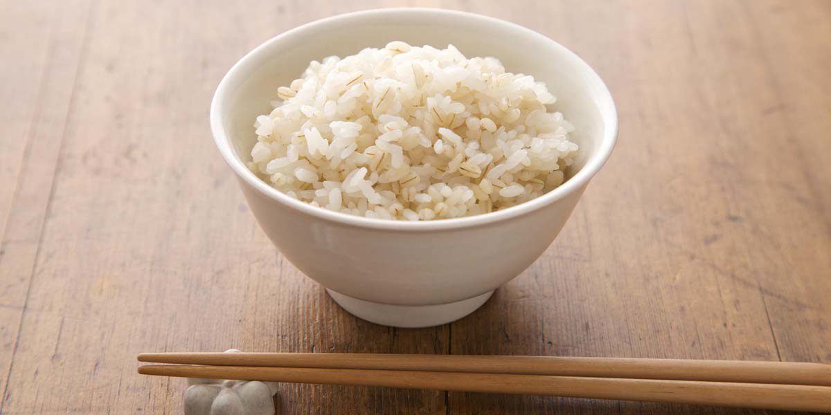 Hakubaku Barley and Rice