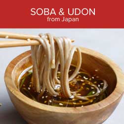 udon and soba noodles