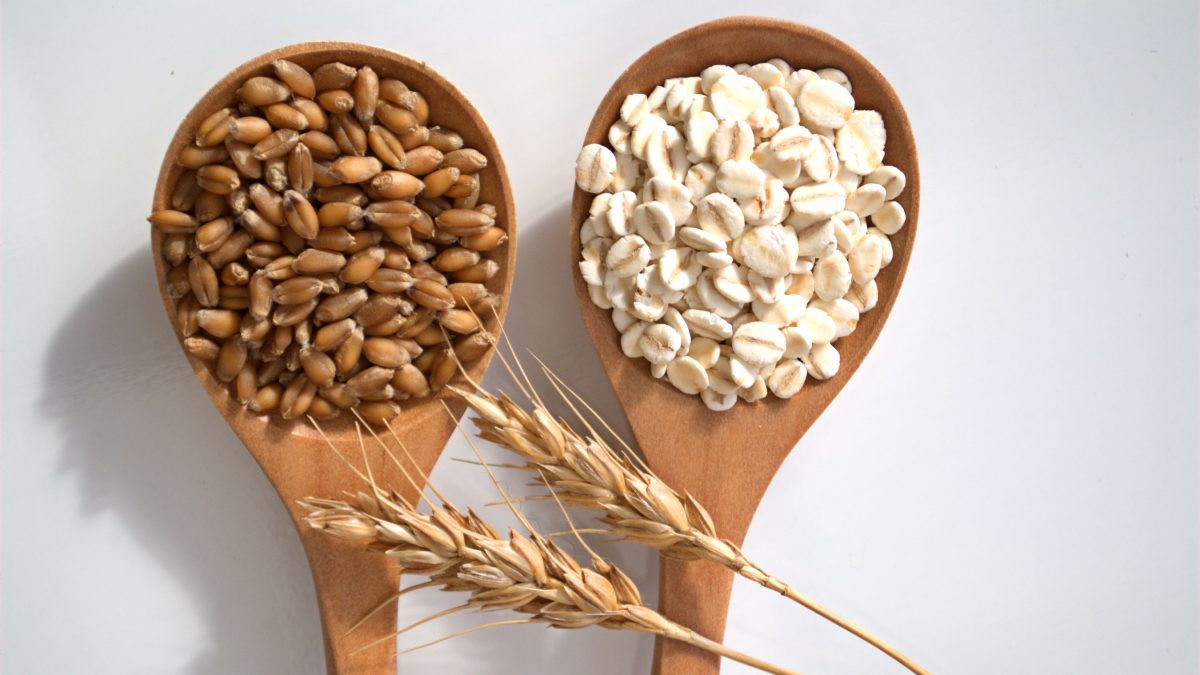 Barley