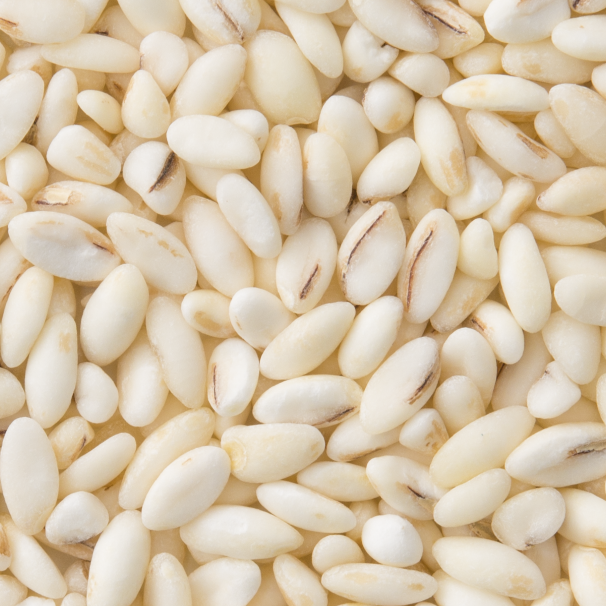 Rice Barley