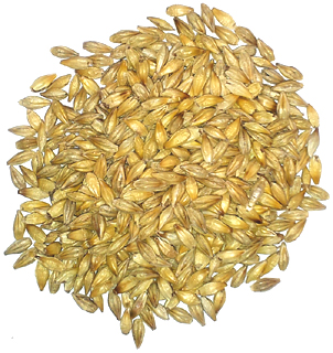 Unroasted-Barley