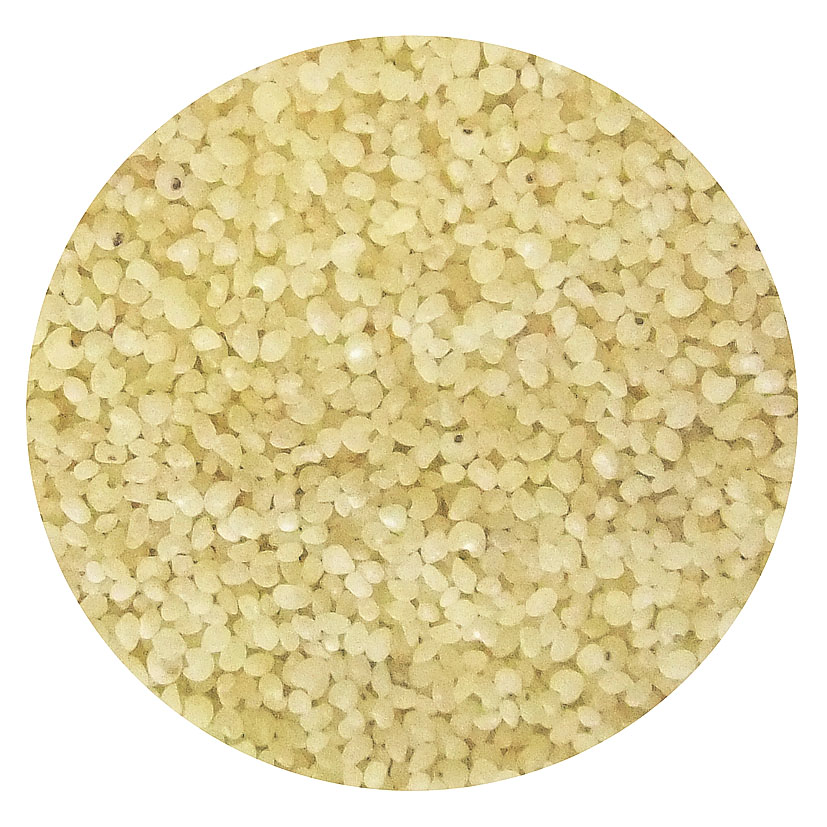 Japanese barnyard millet